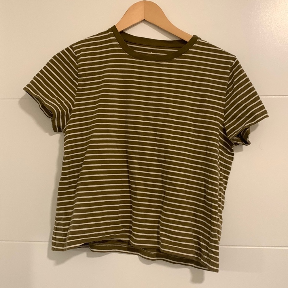 Everlane Cropped olive green + white striped t-shirt